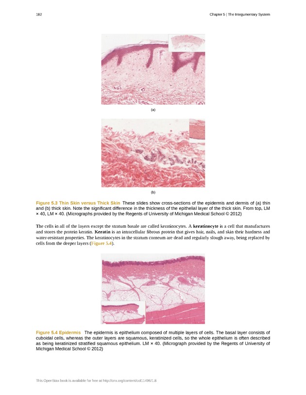Anatomy & Physiology - Front Matter 191