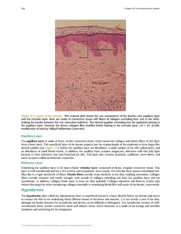 Anatomy & Physiology - Front Matter 195