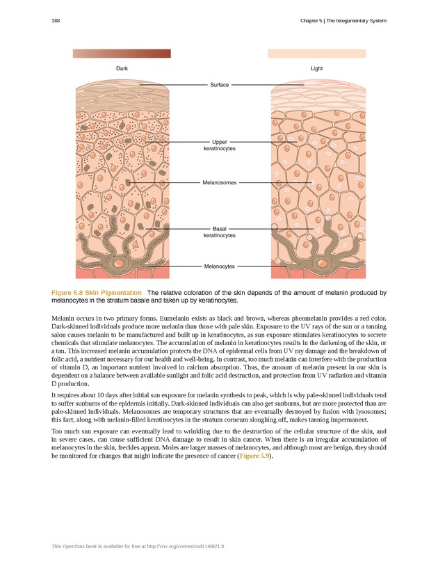 Anatomy & Physiology - Front Matter 197
