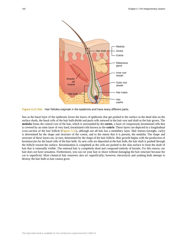 Anatomy & Physiology - Front Matter 201
