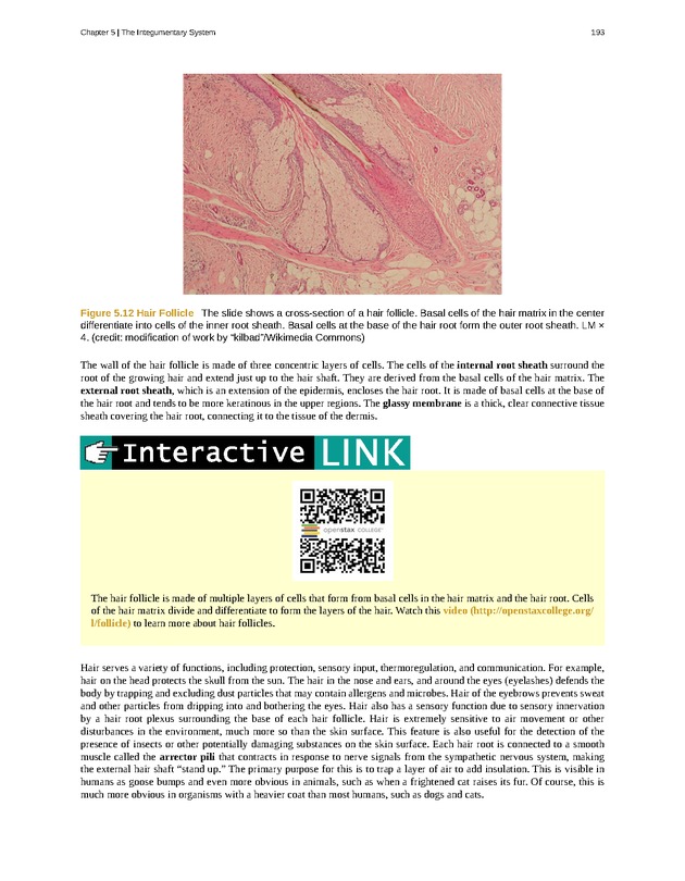 Anatomy & Physiology - Front Matter 202