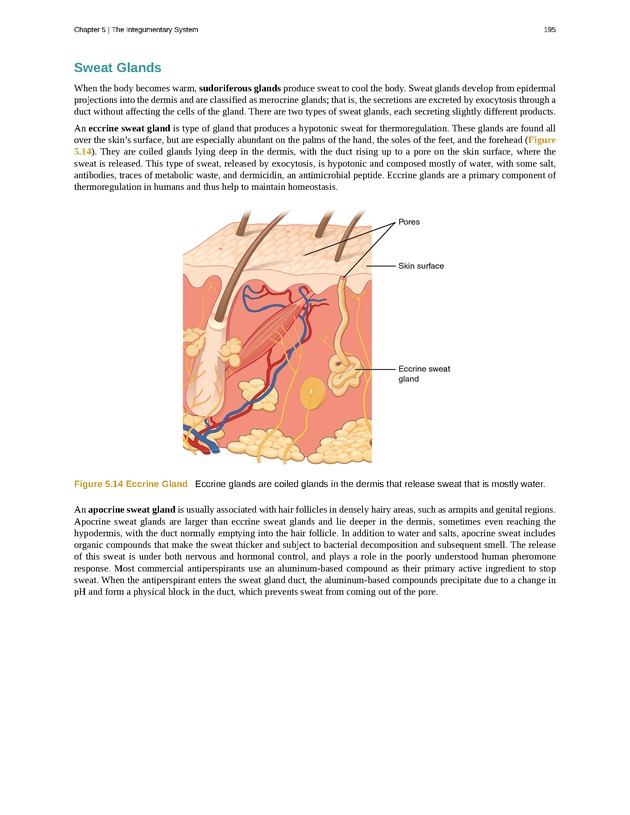 Anatomy & Physiology - Front Matter 204