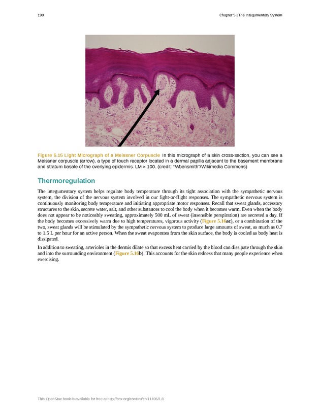 Anatomy & Physiology - Front Matter 207