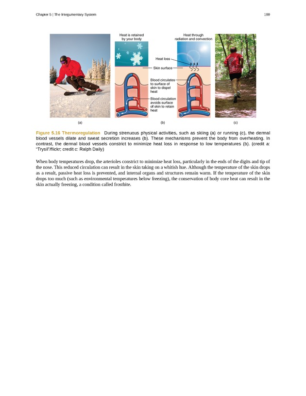 Anatomy & Physiology - Front Matter 208