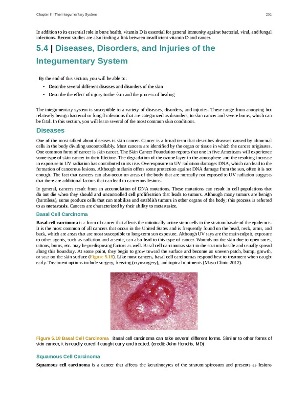 Anatomy & Physiology - Front Matter 210