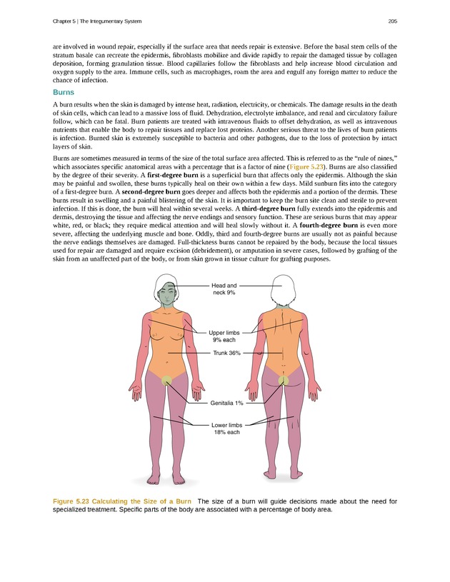 Anatomy & Physiology - Front Matter 214