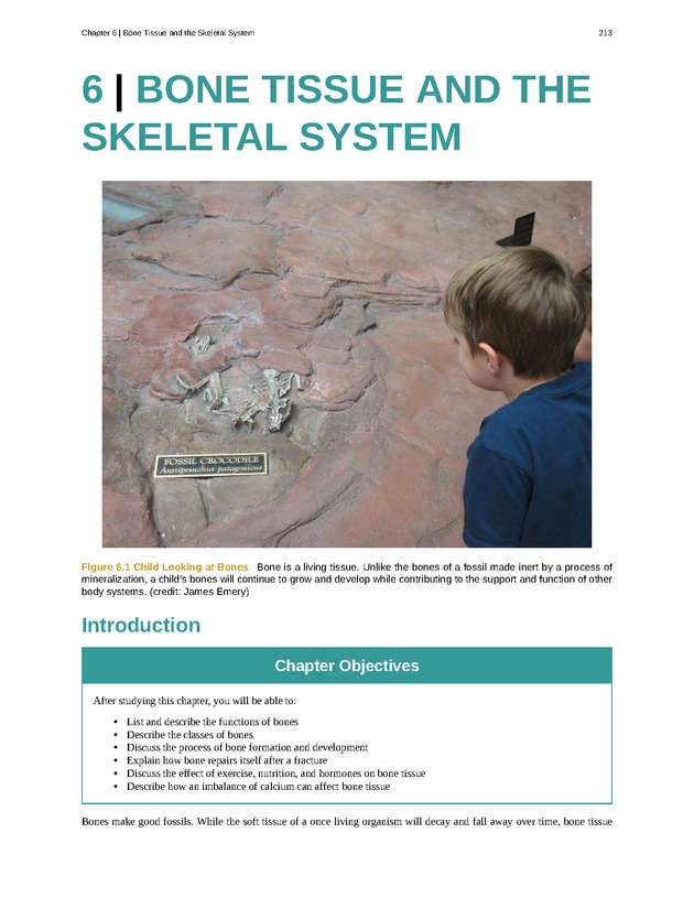 Anatomy & Physiology - Front Matter 222