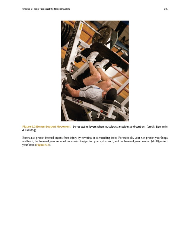 Anatomy & Physiology - Front Matter 224