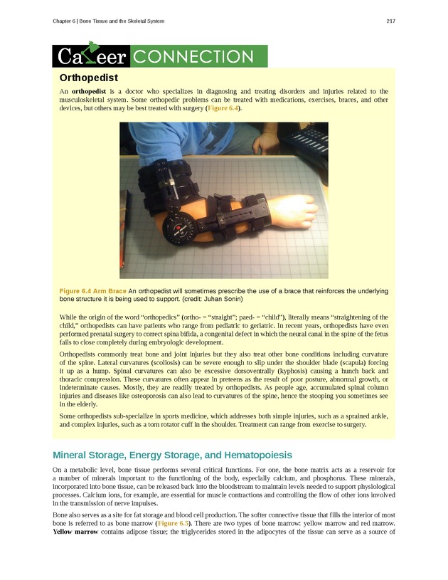 Anatomy & Physiology - Front Matter 226