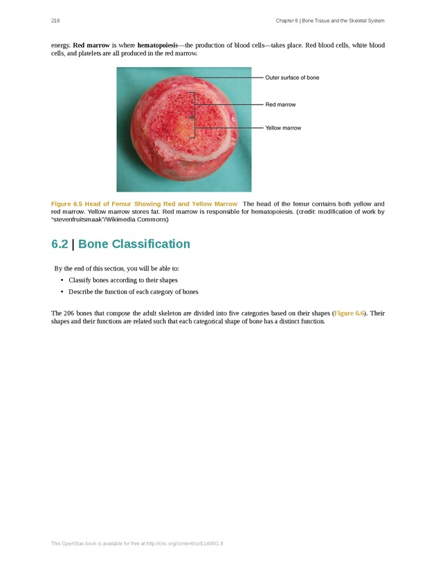 Anatomy & Physiology - Front Matter 227