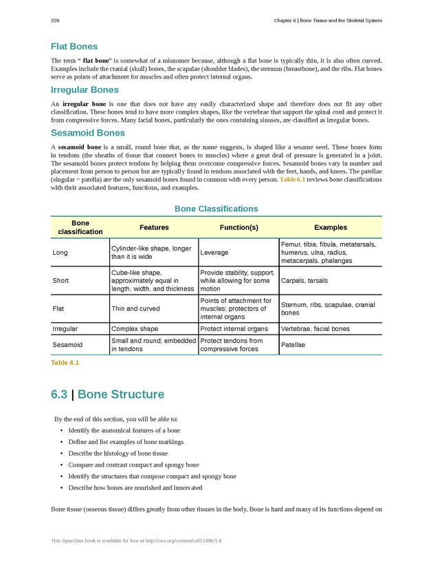 Anatomy & Physiology - Front Matter 229