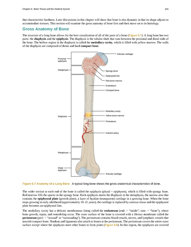 Anatomy & Physiology - Front Matter 230