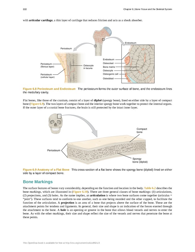 Anatomy & Physiology - Front Matter 231