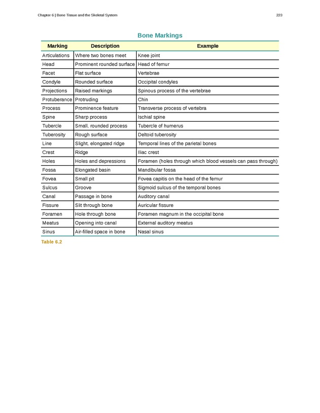 Anatomy & Physiology - Front Matter 232