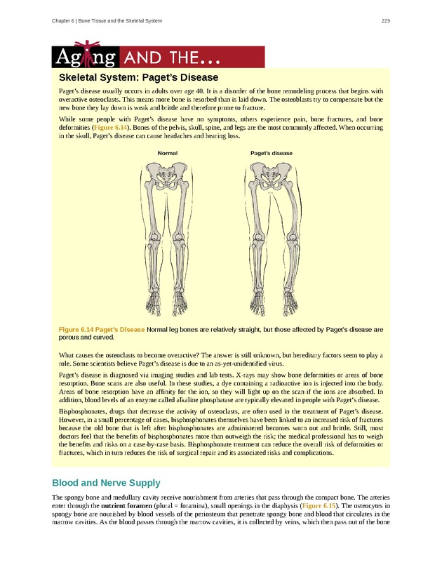 Anatomy & Physiology - Front Matter 238