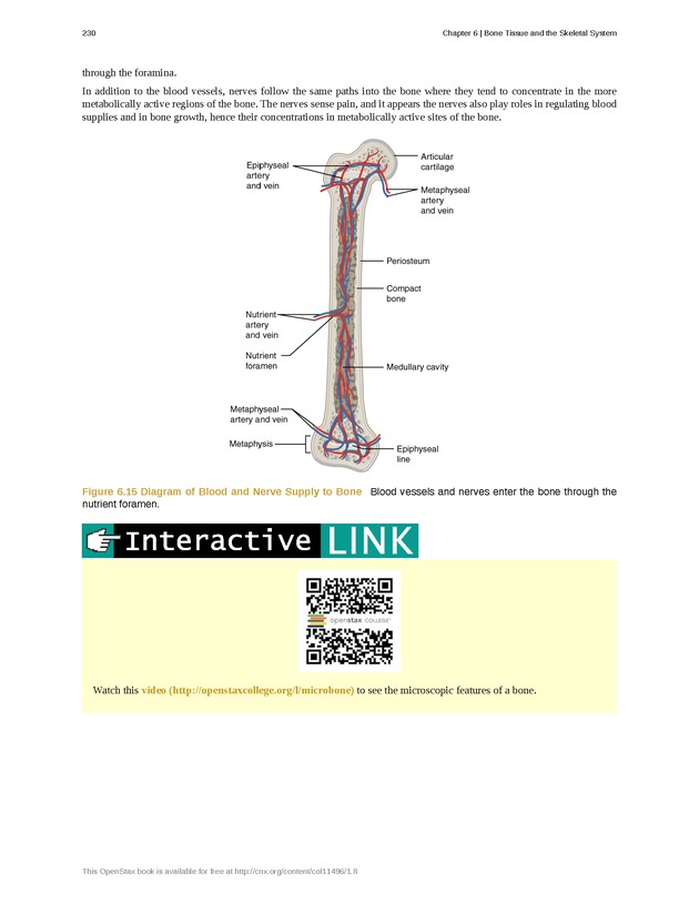 Anatomy & Physiology - Front Matter 239