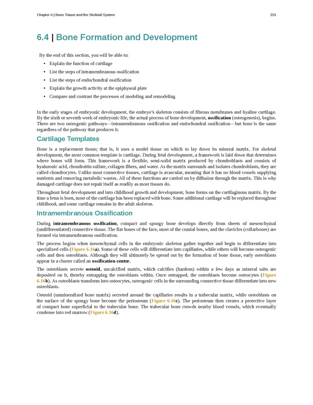 Anatomy & Physiology - Front Matter 240