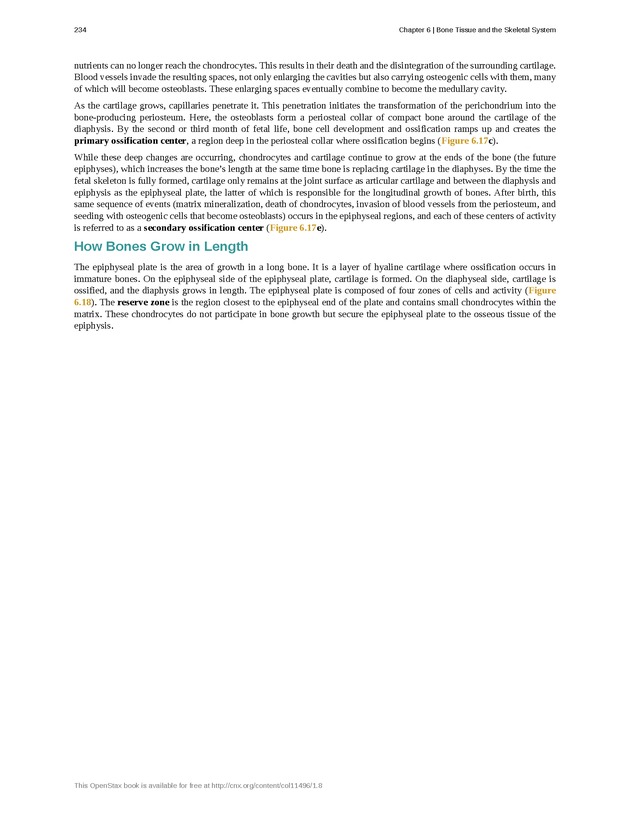 Anatomy & Physiology - Front Matter 243