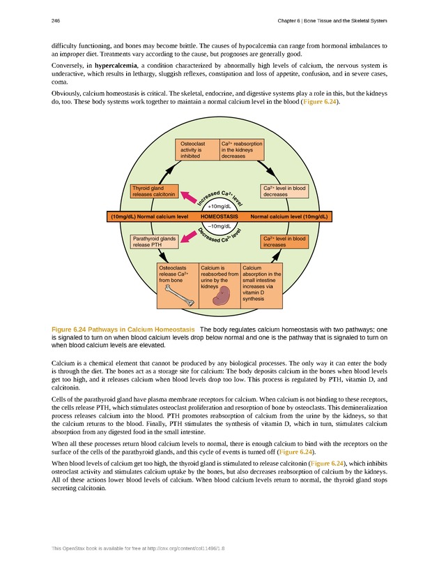 Anatomy & Physiology - Front Matter 255