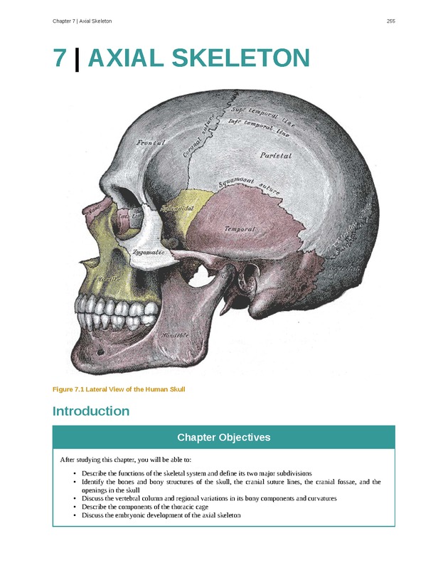 Anatomy & Physiology - Front Matter 264