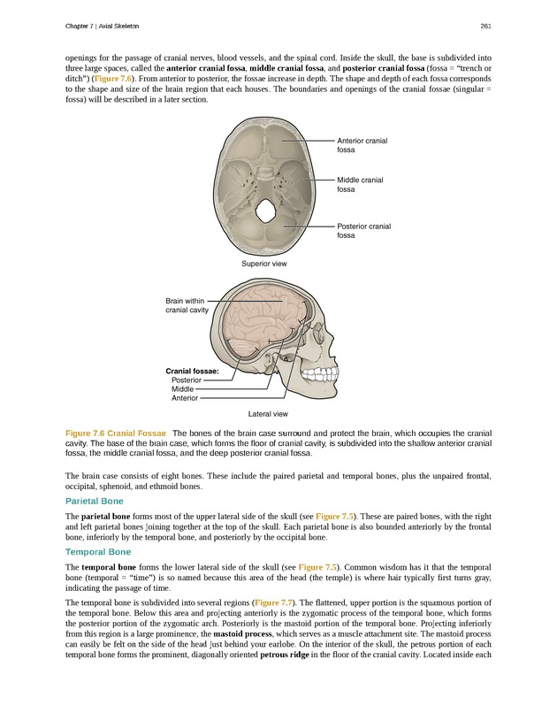 Anatomy & Physiology - Front Matter 270
