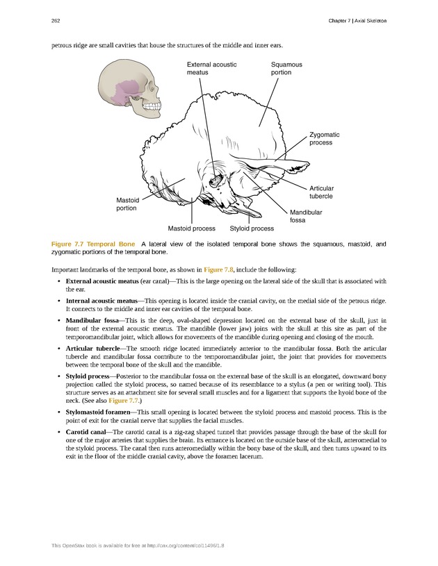 Anatomy & Physiology - Front Matter 271