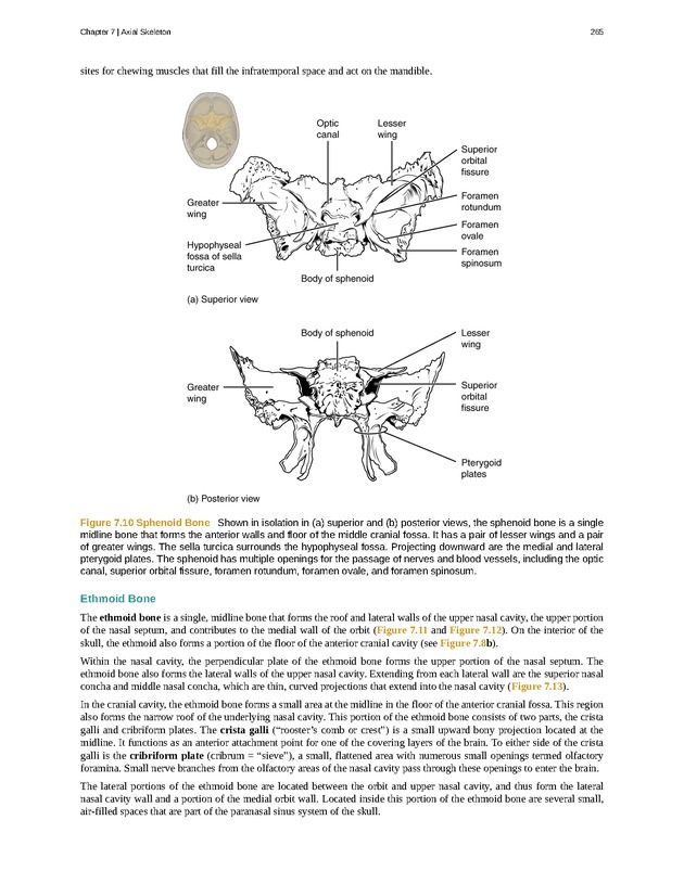 Anatomy & Physiology - Front Matter 274