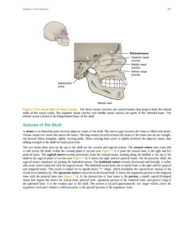 Anatomy & Physiology - Front Matter 276