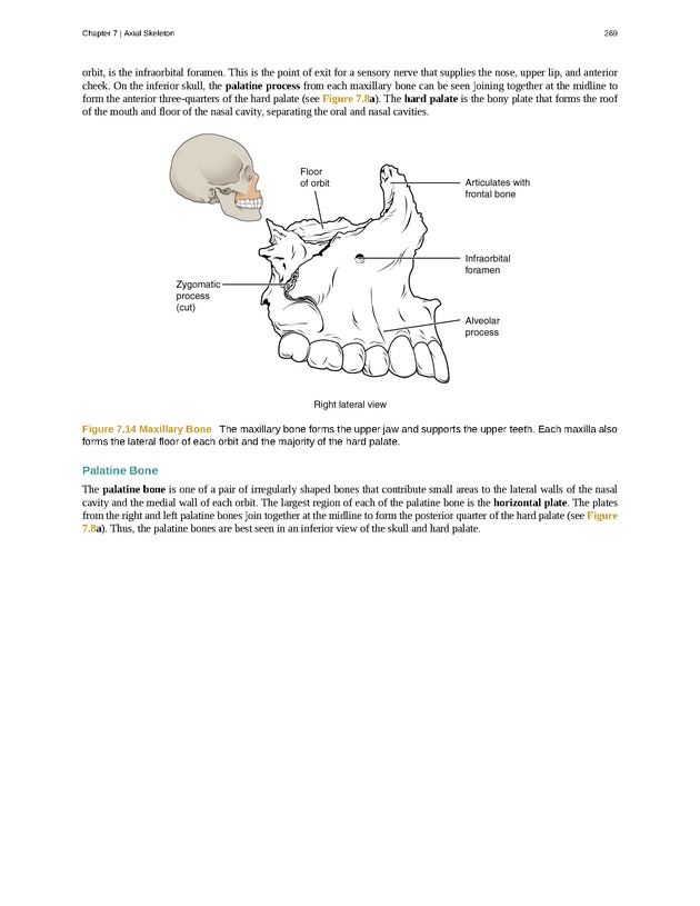 Anatomy & Physiology - Front Matter 278