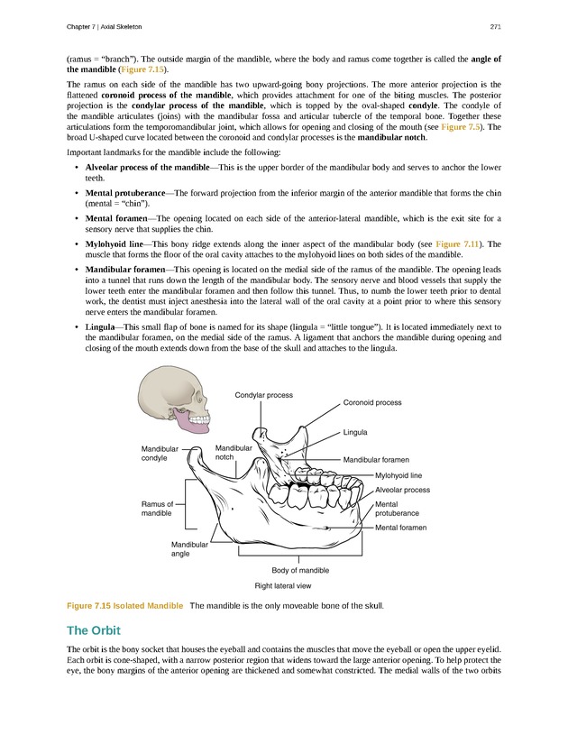 Anatomy & Physiology - Front Matter 280