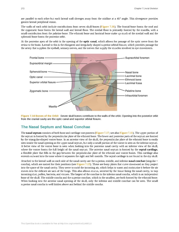 Anatomy & Physiology - Front Matter 281