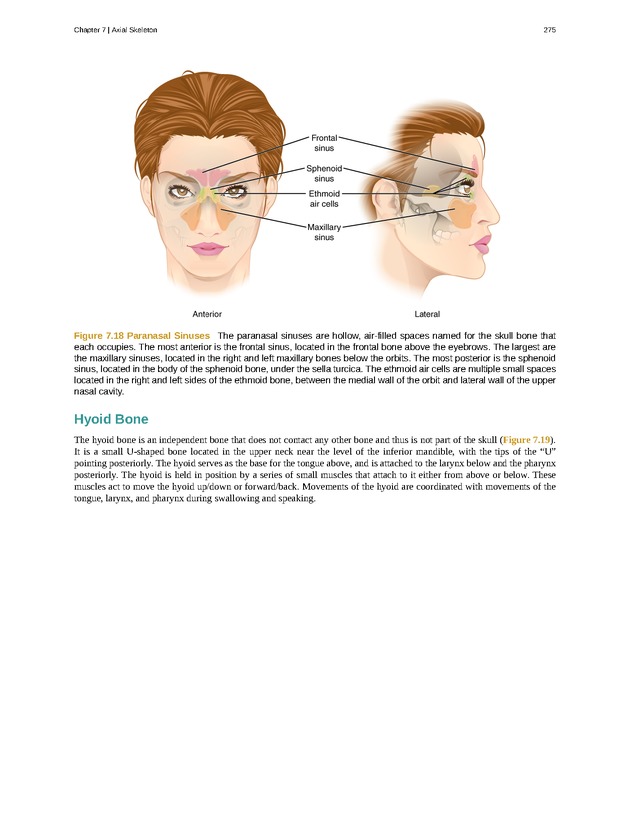 Anatomy & Physiology - Front Matter 284