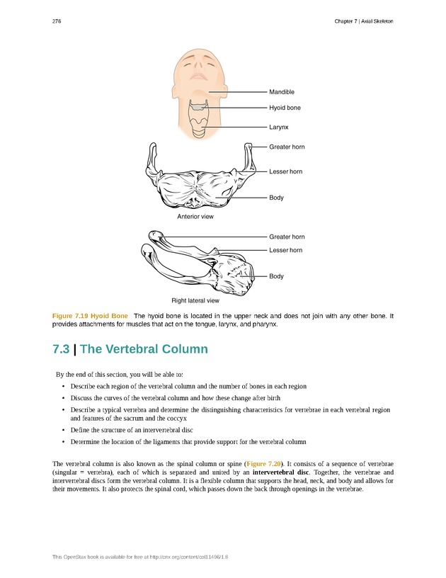 Anatomy & Physiology - Front Matter 285