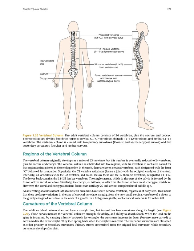 Anatomy & Physiology - Front Matter 286