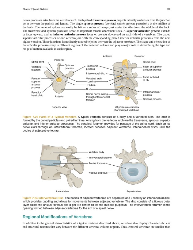 Anatomy & Physiology - Front Matter 290