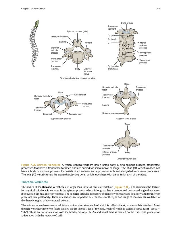 Anatomy & Physiology - Front Matter 292