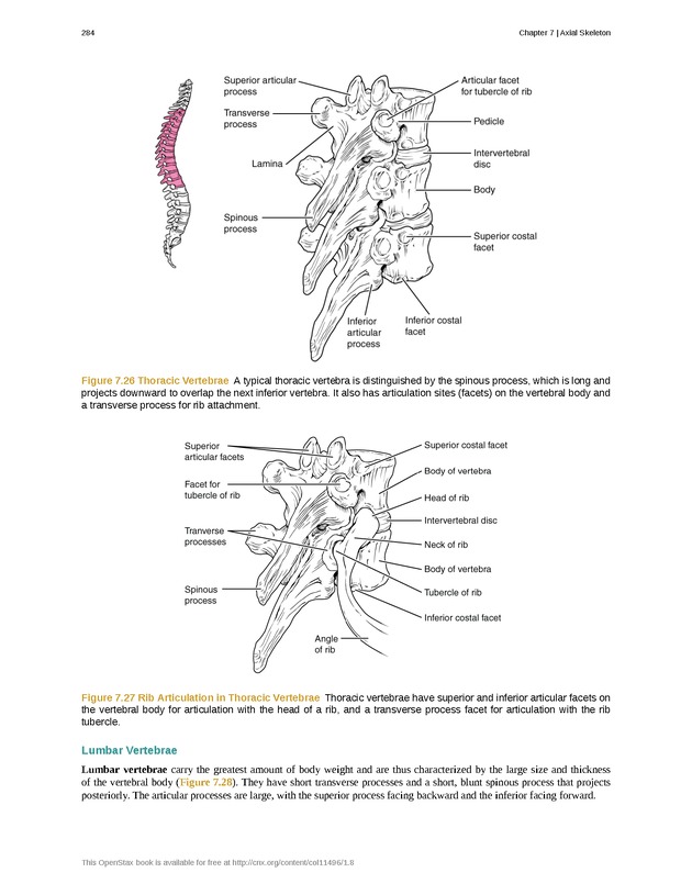 Anatomy & Physiology - Front Matter 293