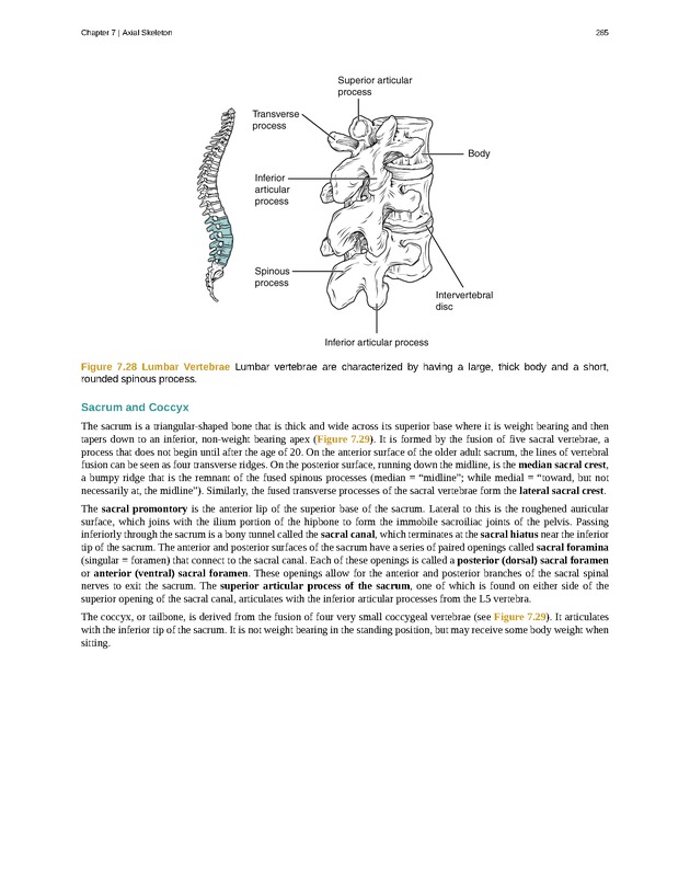 Anatomy & Physiology - Front Matter 294