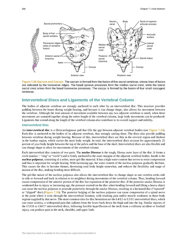 Anatomy & Physiology - Front Matter 295
