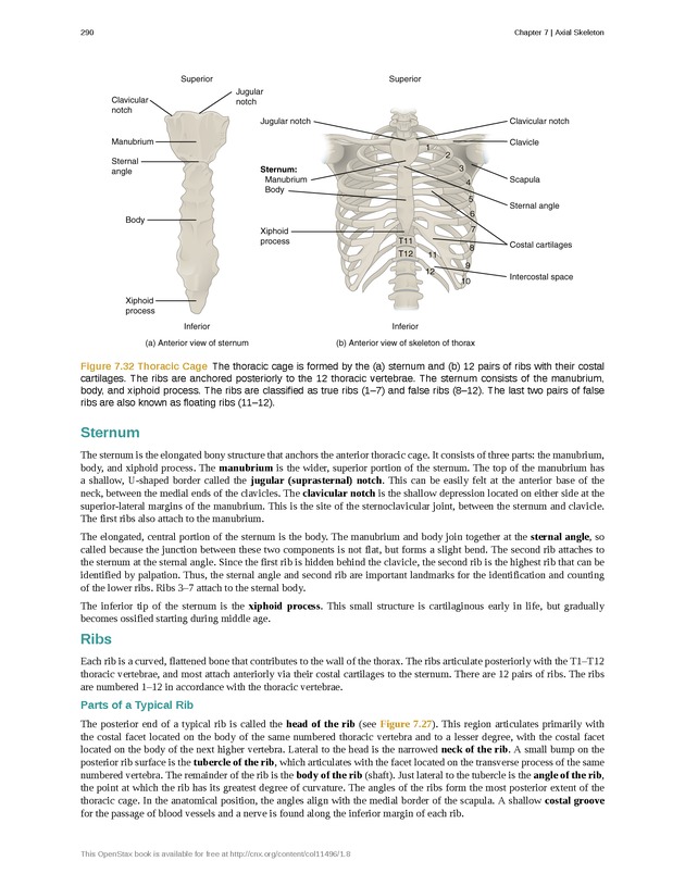 Anatomy & Physiology - Front Matter 299