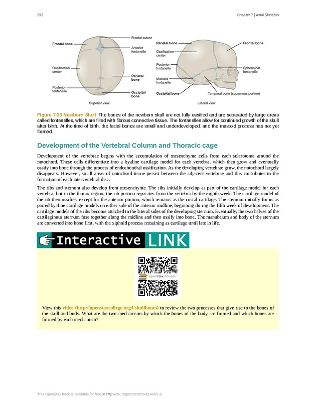 Anatomy & Physiology - Front Matter 301