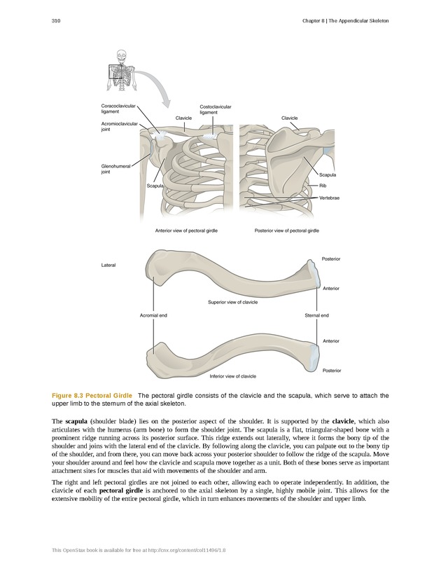 Anatomy & Physiology - Front Matter 319