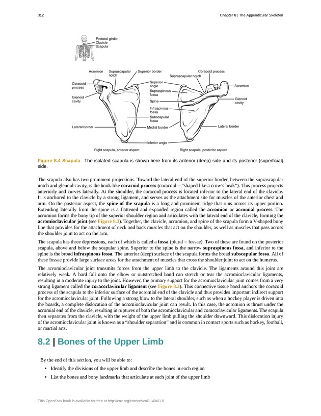 Anatomy & Physiology - 