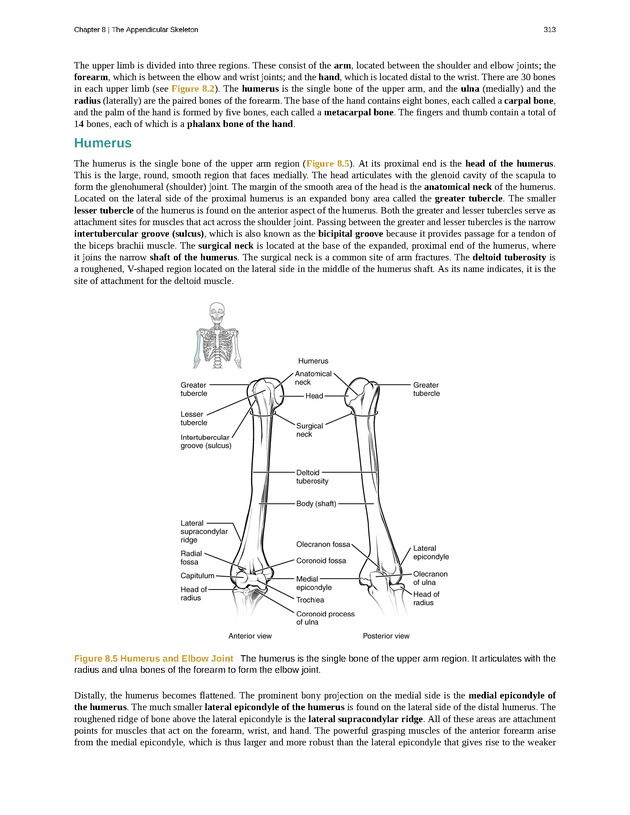 Anatomy & Physiology - 