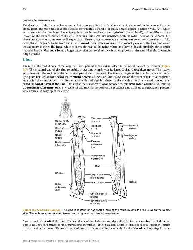 Anatomy & Physiology - 
