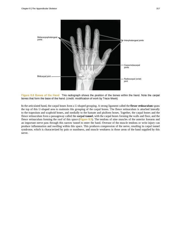 Anatomy & Physiology - 