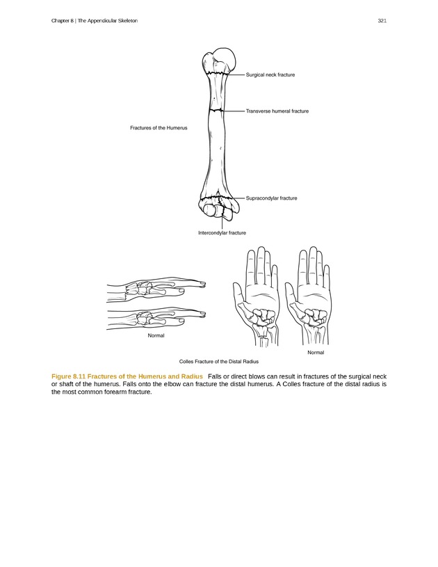 Anatomy & Physiology - 