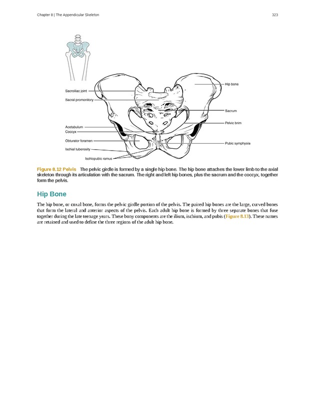 Anatomy & Physiology - 