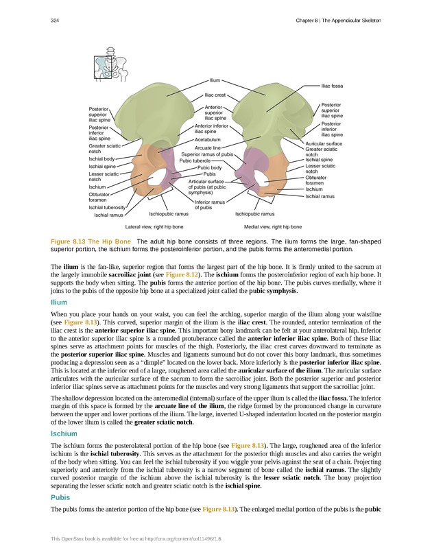Anatomy & Physiology - 