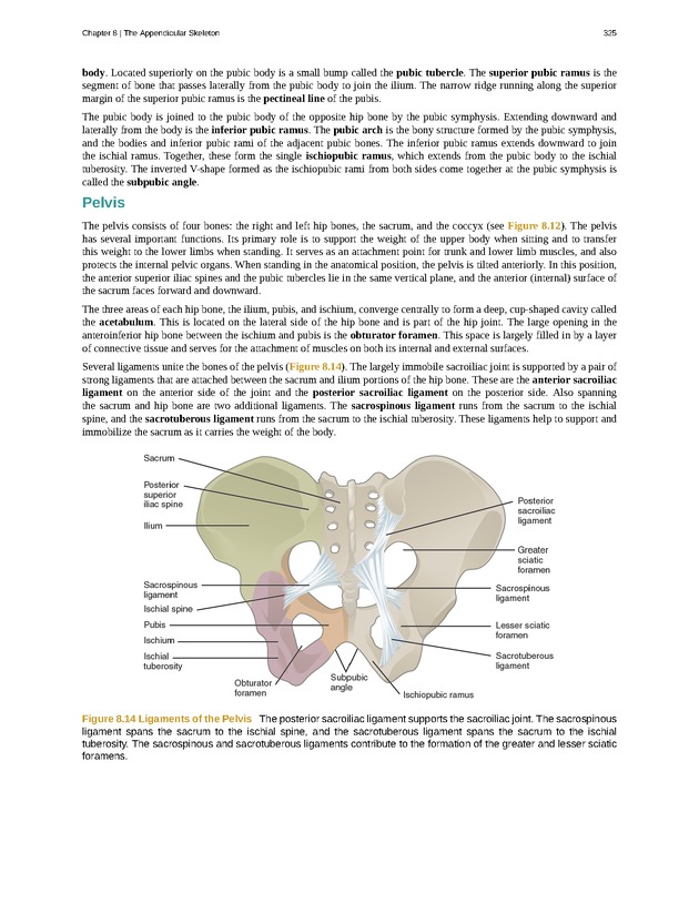 Anatomy & Physiology - 